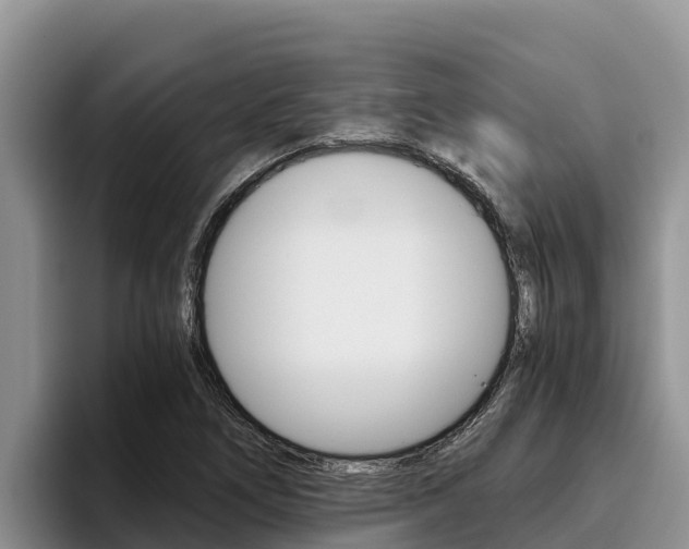 X0000096221266200801181022