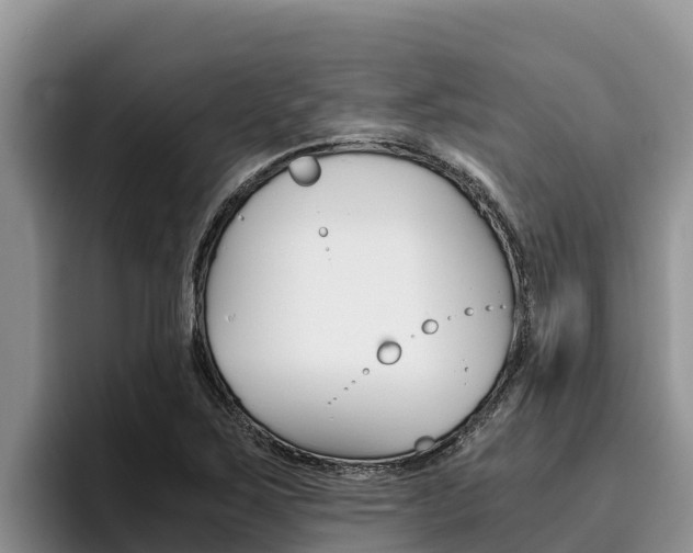 X0000096221267200801181022