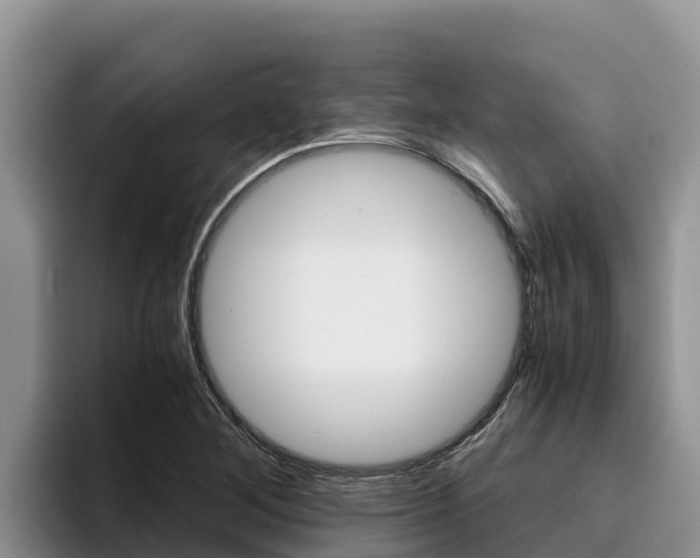 X0000096221268200801181022