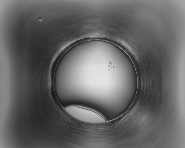 X0000096221270200801181022