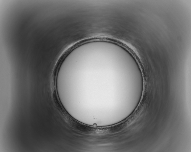 X0000096221271200801181022