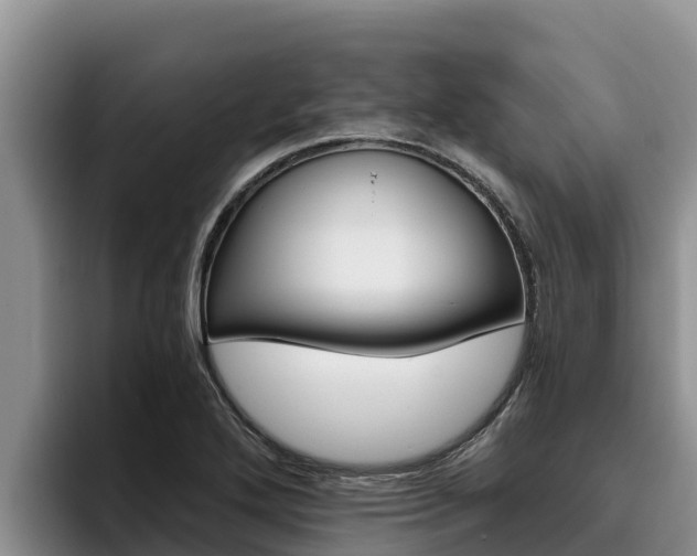 X0000096221272200801181022