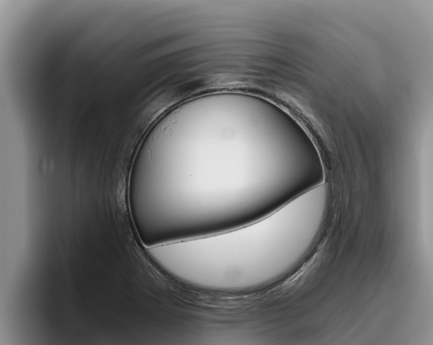 X0000096221273200801181022