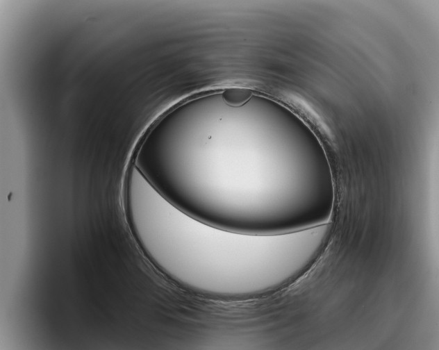X0000096221276200801181022