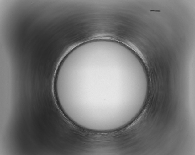 X0000096221277200801181022
