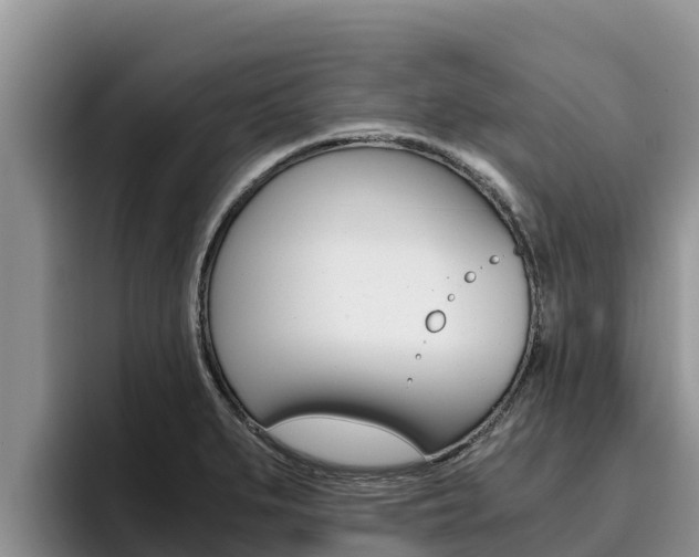 X0000096221279200801181022