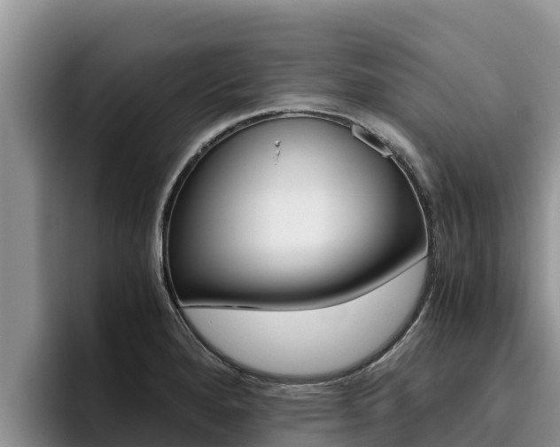 X0000096221280200801181022