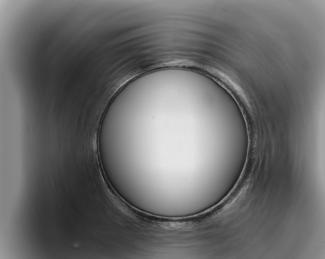 X0000096221281200801181022