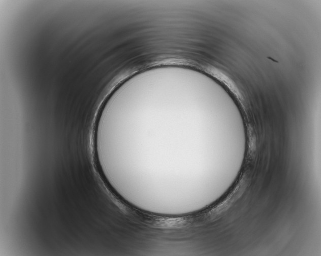 X0000096221282200801181022