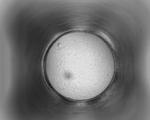 X0000096221283200801181022