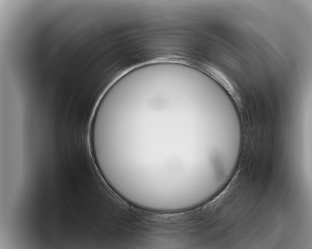 X0000096221284200801181022