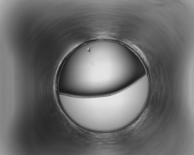 X0000096221285200801181022