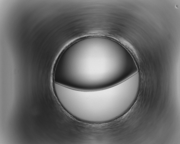 X0000096221288200801181022