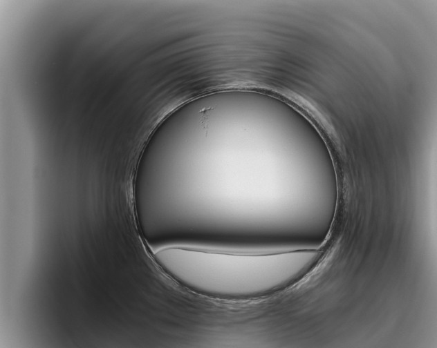 X0000096221289200801181022
