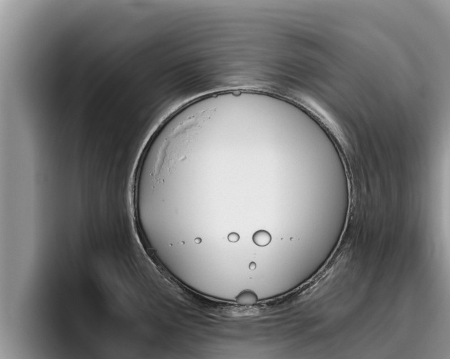 X0000096221291200801181022