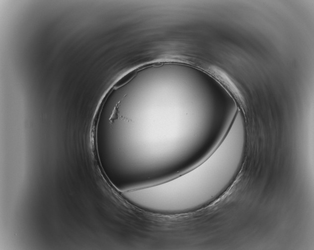 X0000096221292200801181022