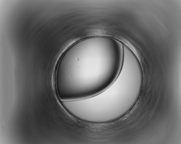 X0000096221293200801181022