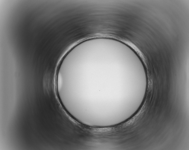 X0000096221294200801181022