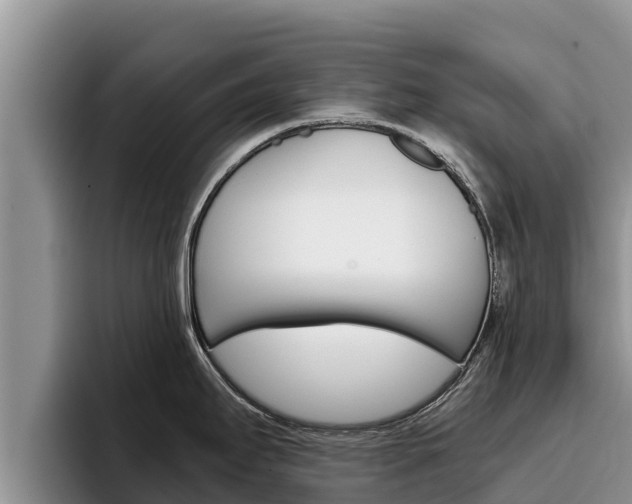 X0000096221295200801181022