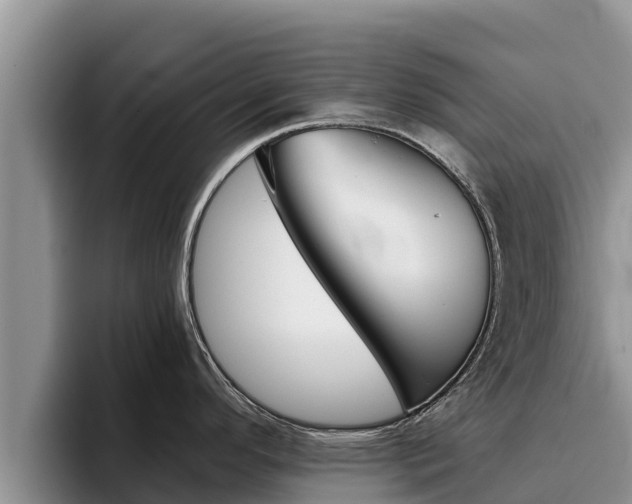 X0000096221296200801181022