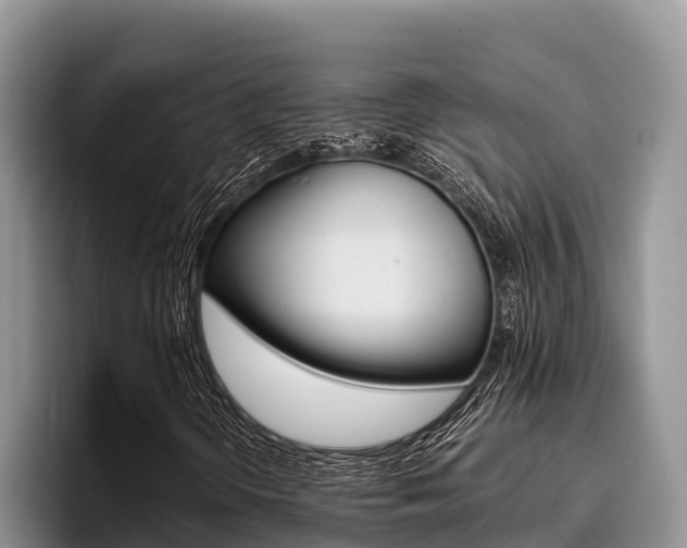 X0000096221298200801181021