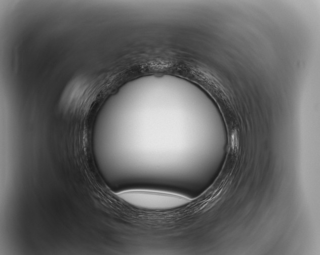 X0000096221299200801181021