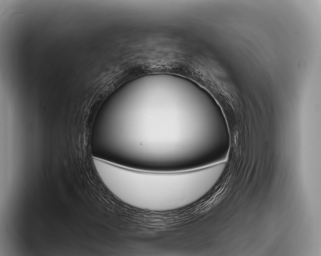 X0000096221300200801181021