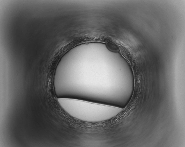 X0000096221302200801181021