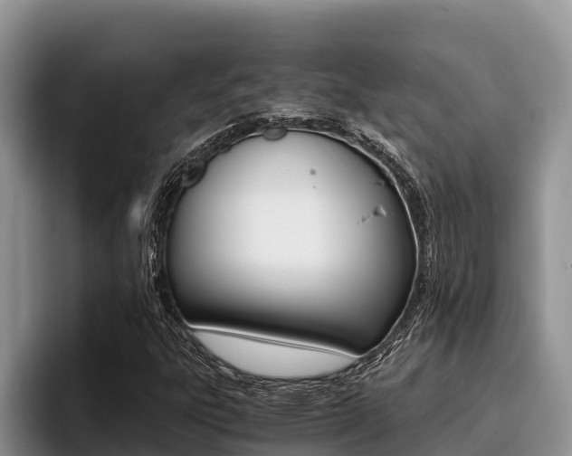 X0000096221303200801181021
