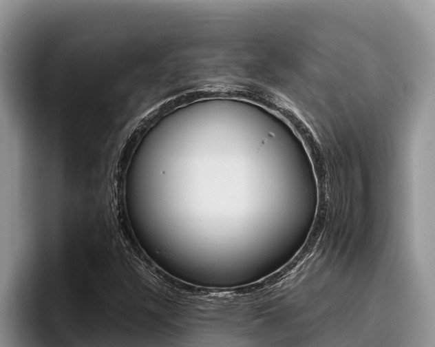 X0000096221304200801181021