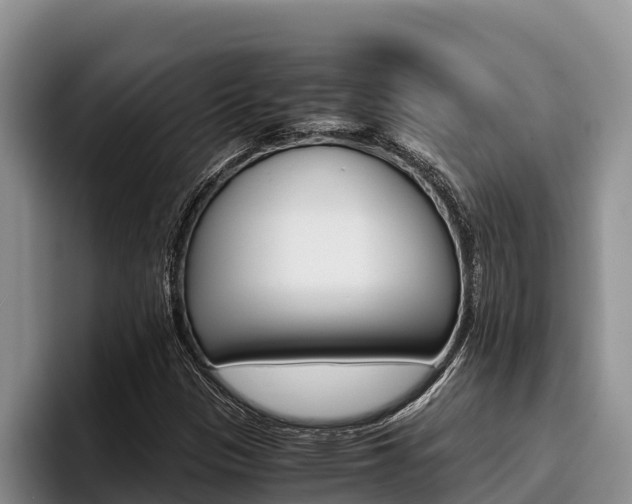 X0000096221305200801181021