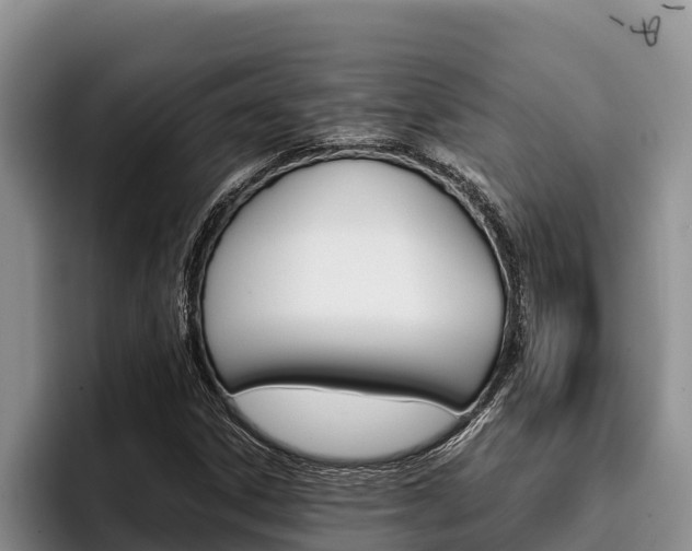 X0000096221306200801181021