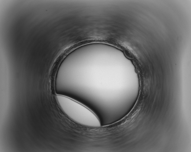 X0000096221307200801181021