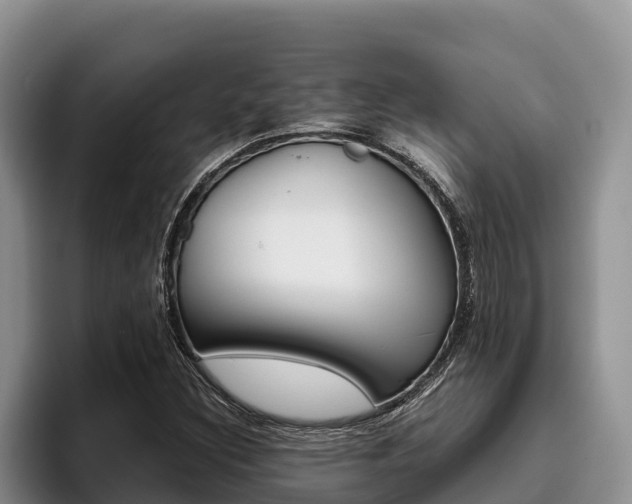 X0000096221308200801181021