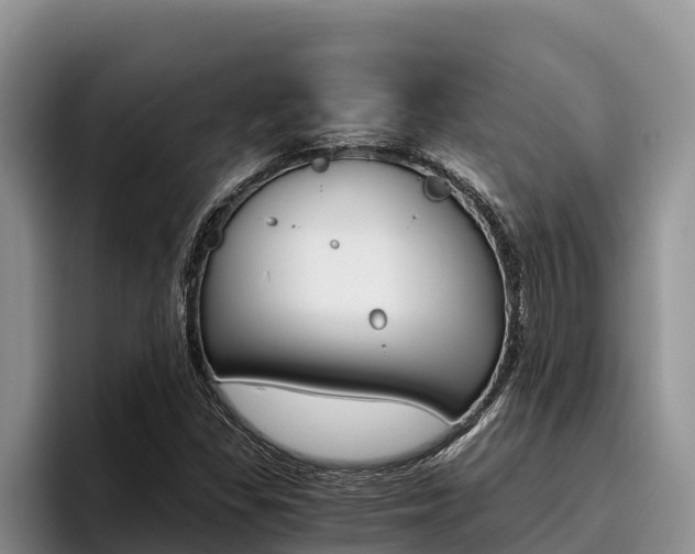 X0000096221309200801181021