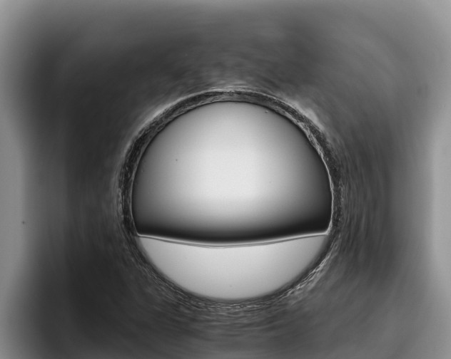X0000096221311200801181021