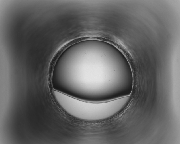 X0000096221312200801181021