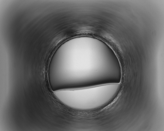 X0000096221313200801181021