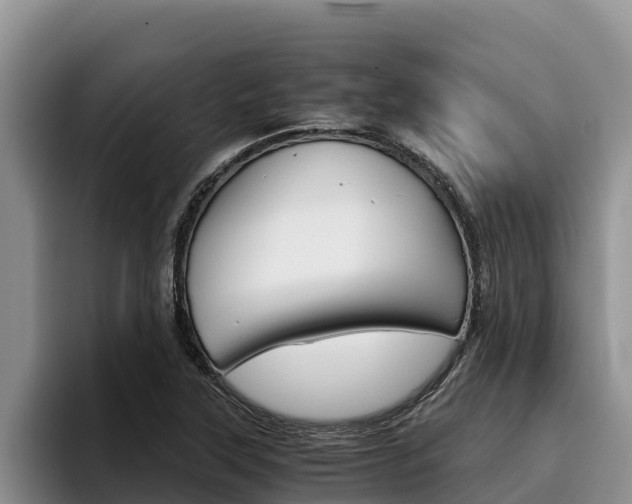 X0000096221315200801181021