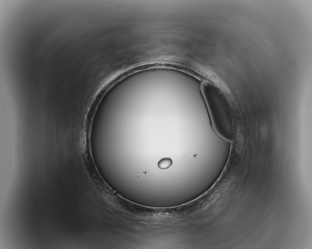 X0000096221316200801181021