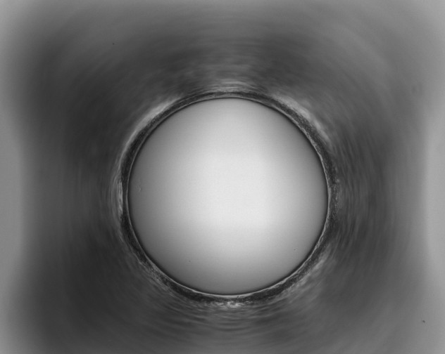 X0000096221317200801181021