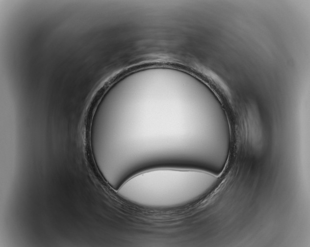 X0000096221318200801181021