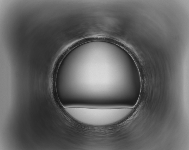 X0000096221319200801181021