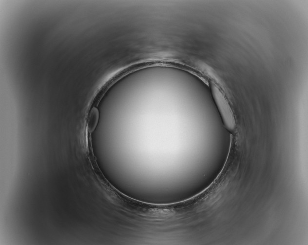 X0000096221320200801181021