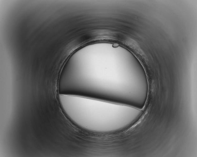 X0000096221321200801181021