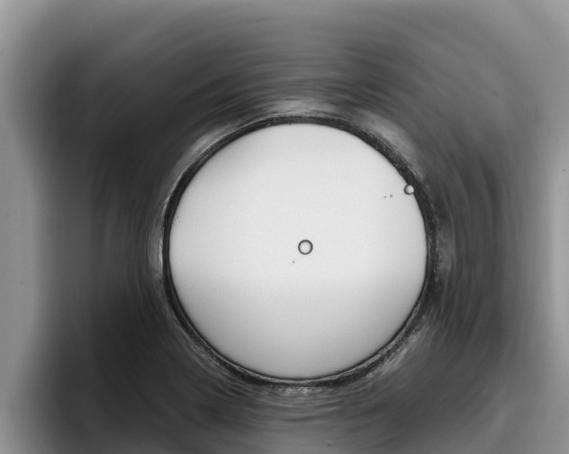 X0000096221322200801181021