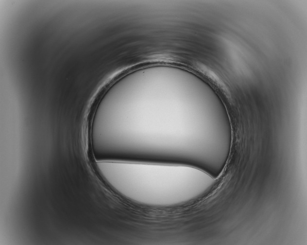 X0000096221323200801181021