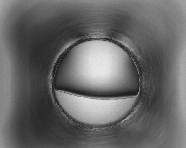 X0000096221325200801181021