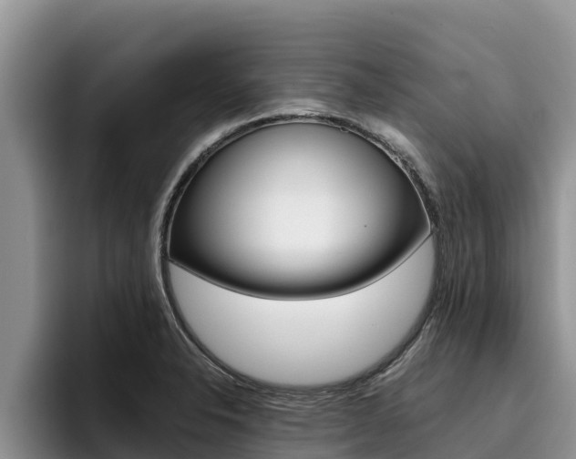X0000096221326200801181021