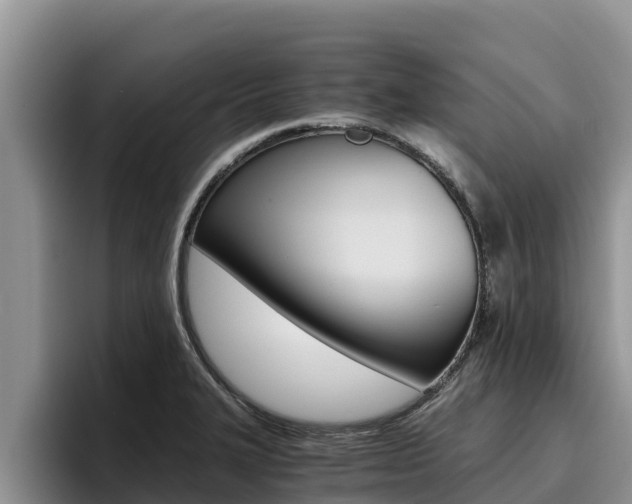 X0000096221327200801181021